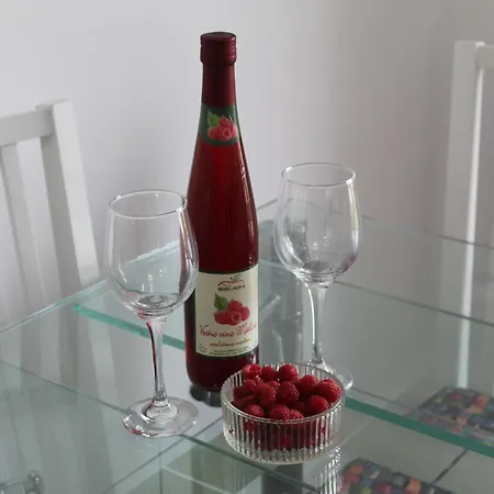 Apartment Zara Lux Panorama